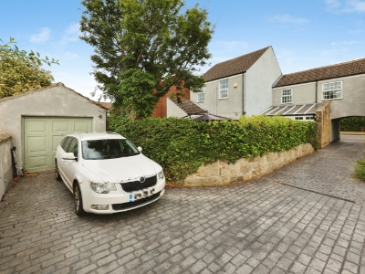 Picture 20